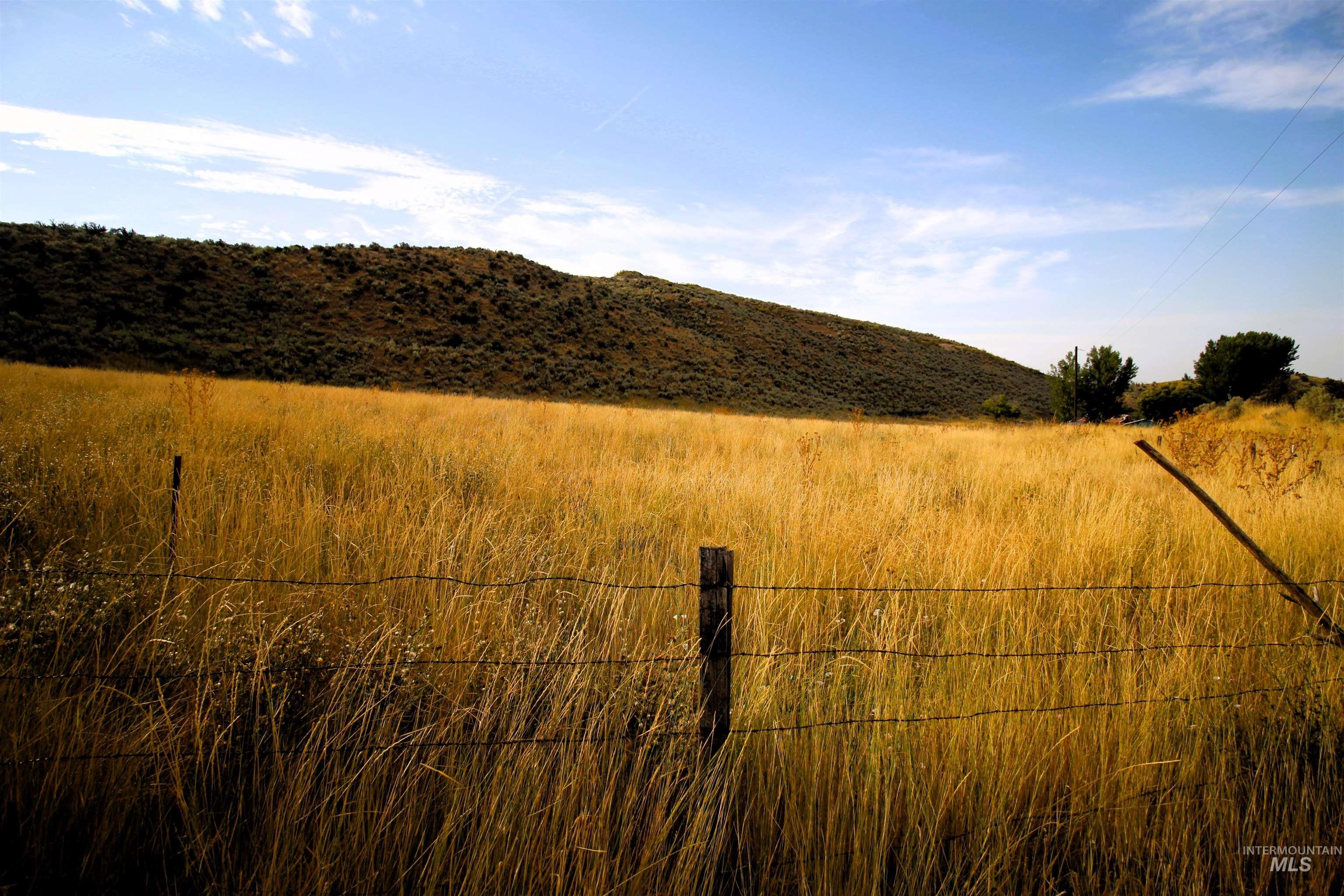 View of mountain background