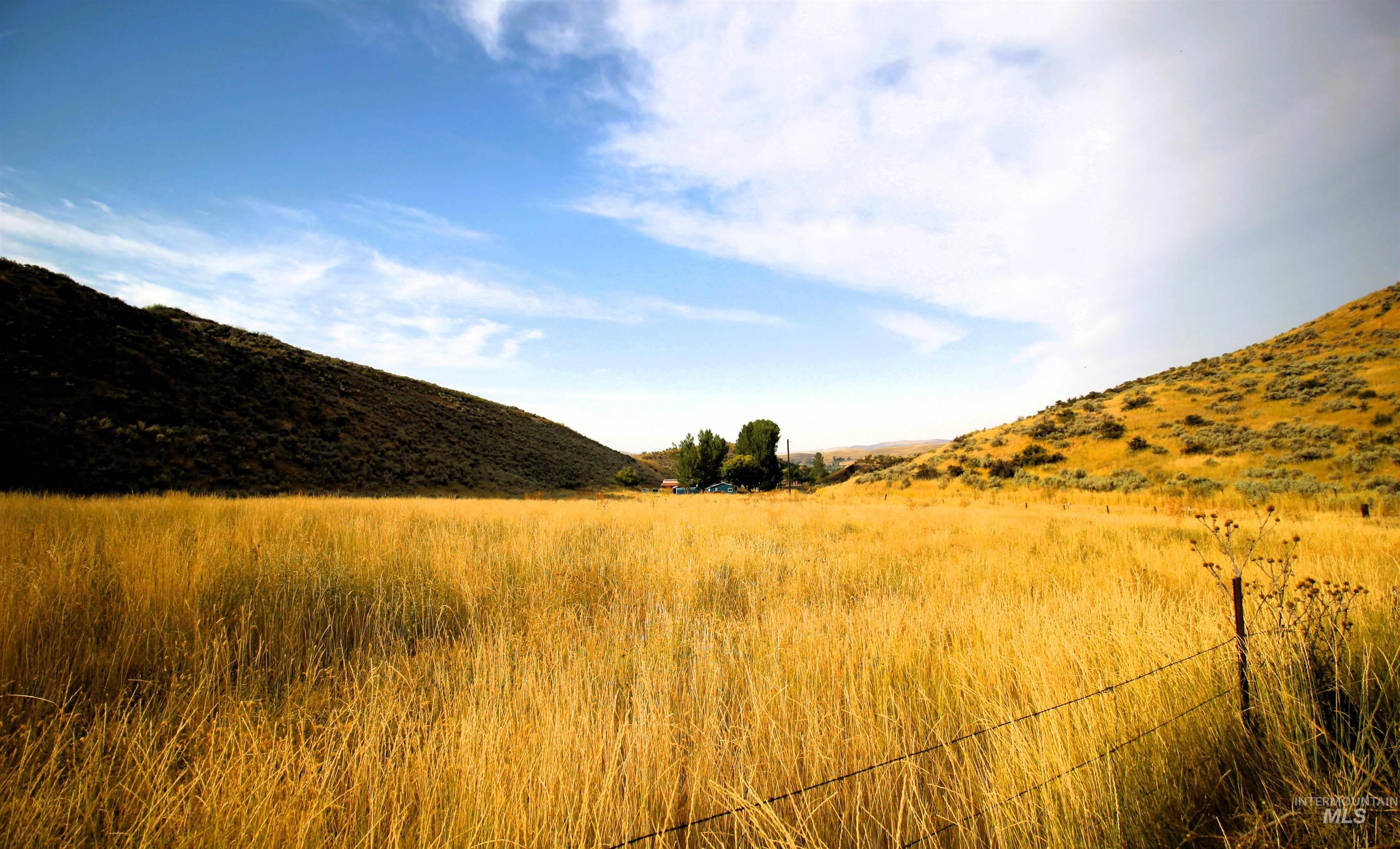 View of mountain background