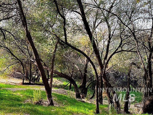 TBD Marsing (4.15 Acres), Caldwell, Idaho image 8