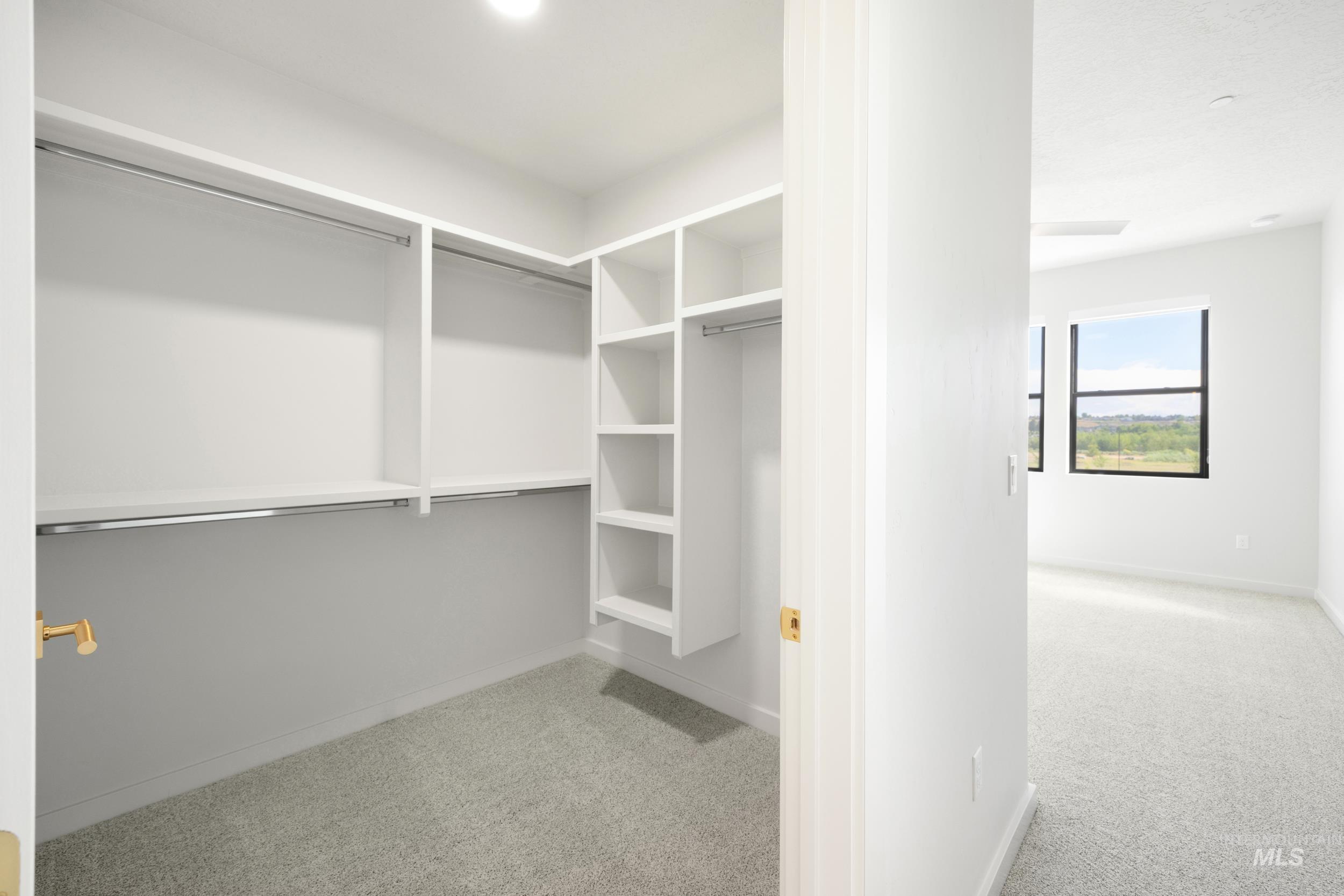 Walk in closet with light colored carpet