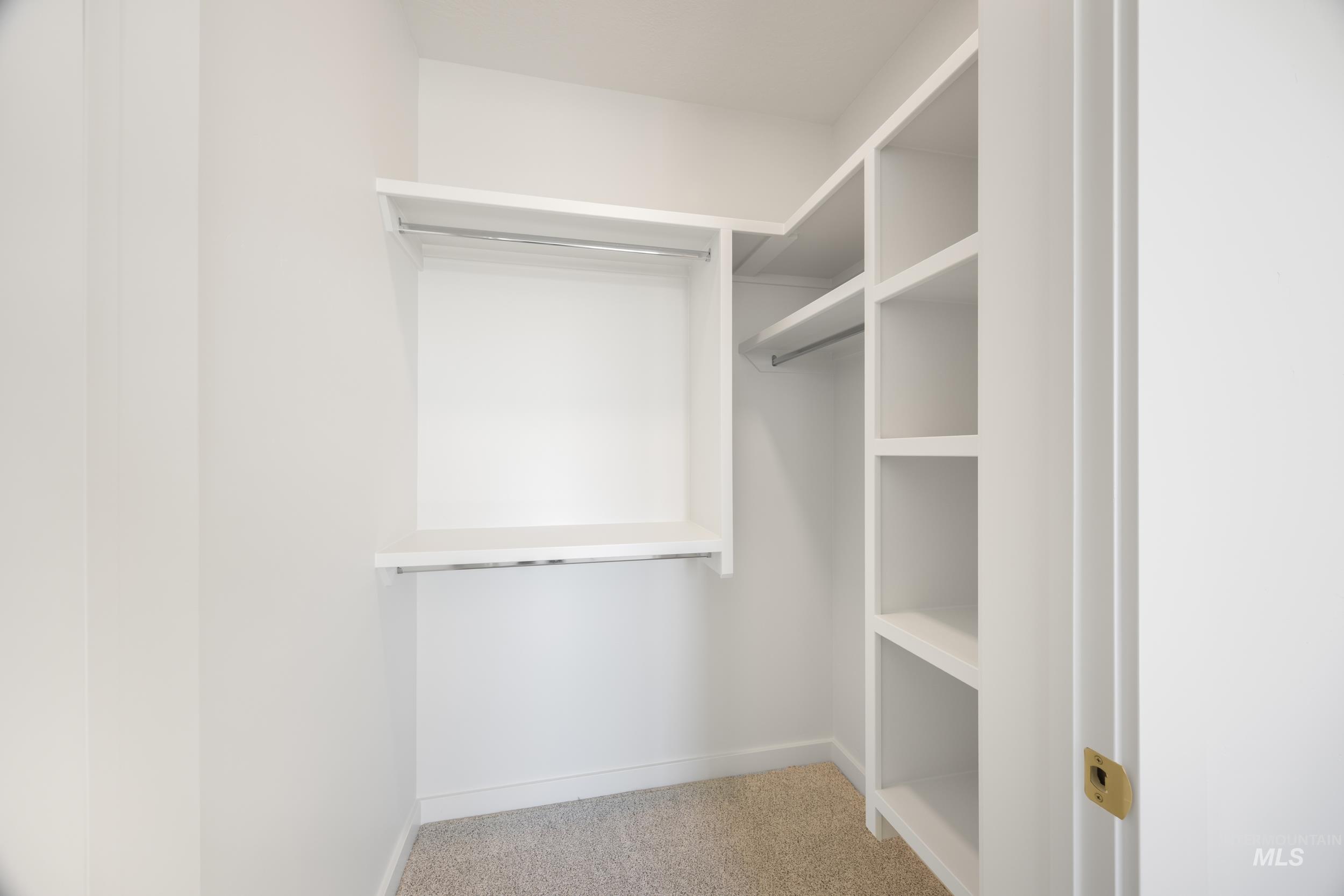 Spacious closet featuring light carpet