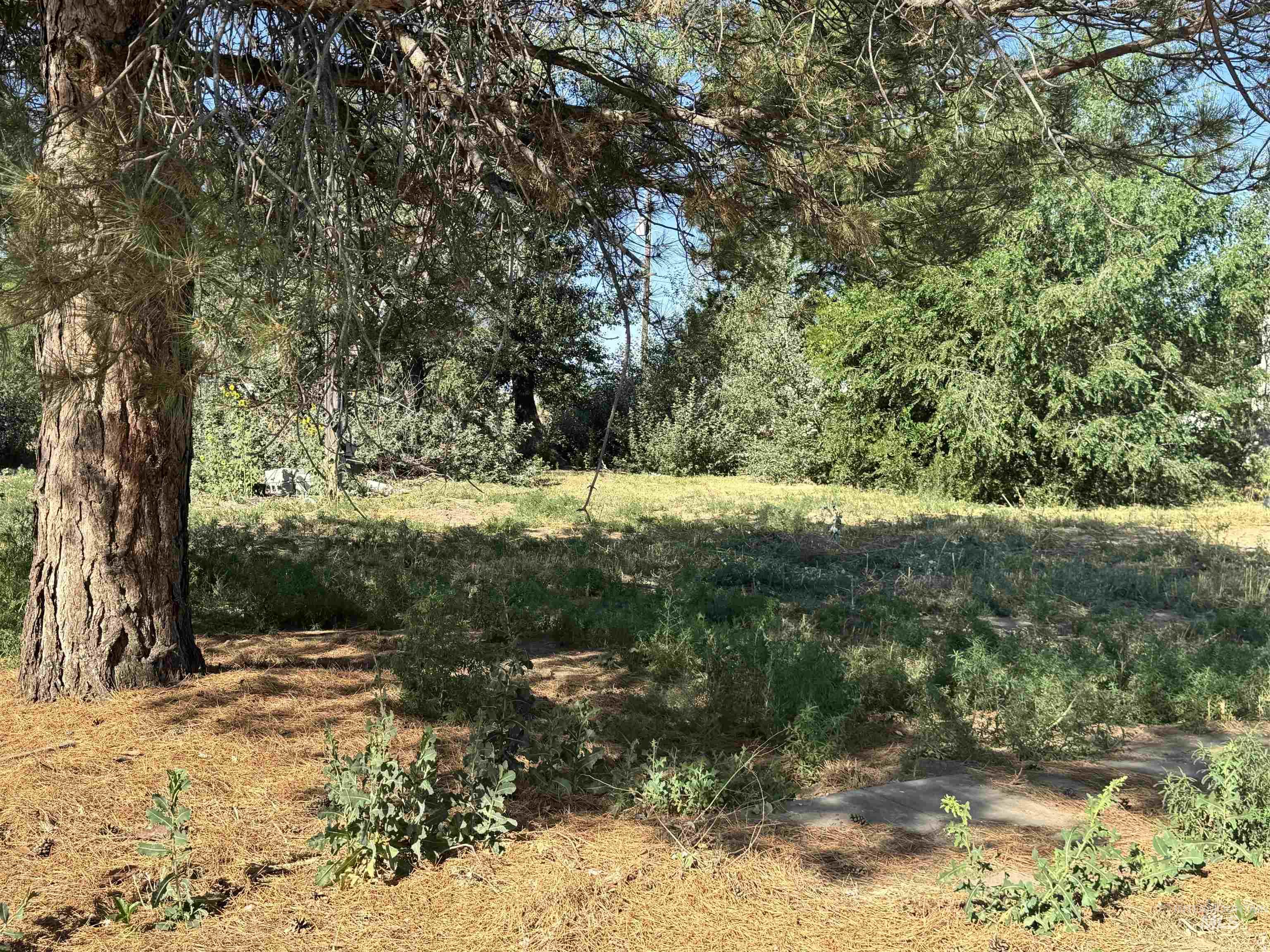 218 East D Street - Lots 1-3