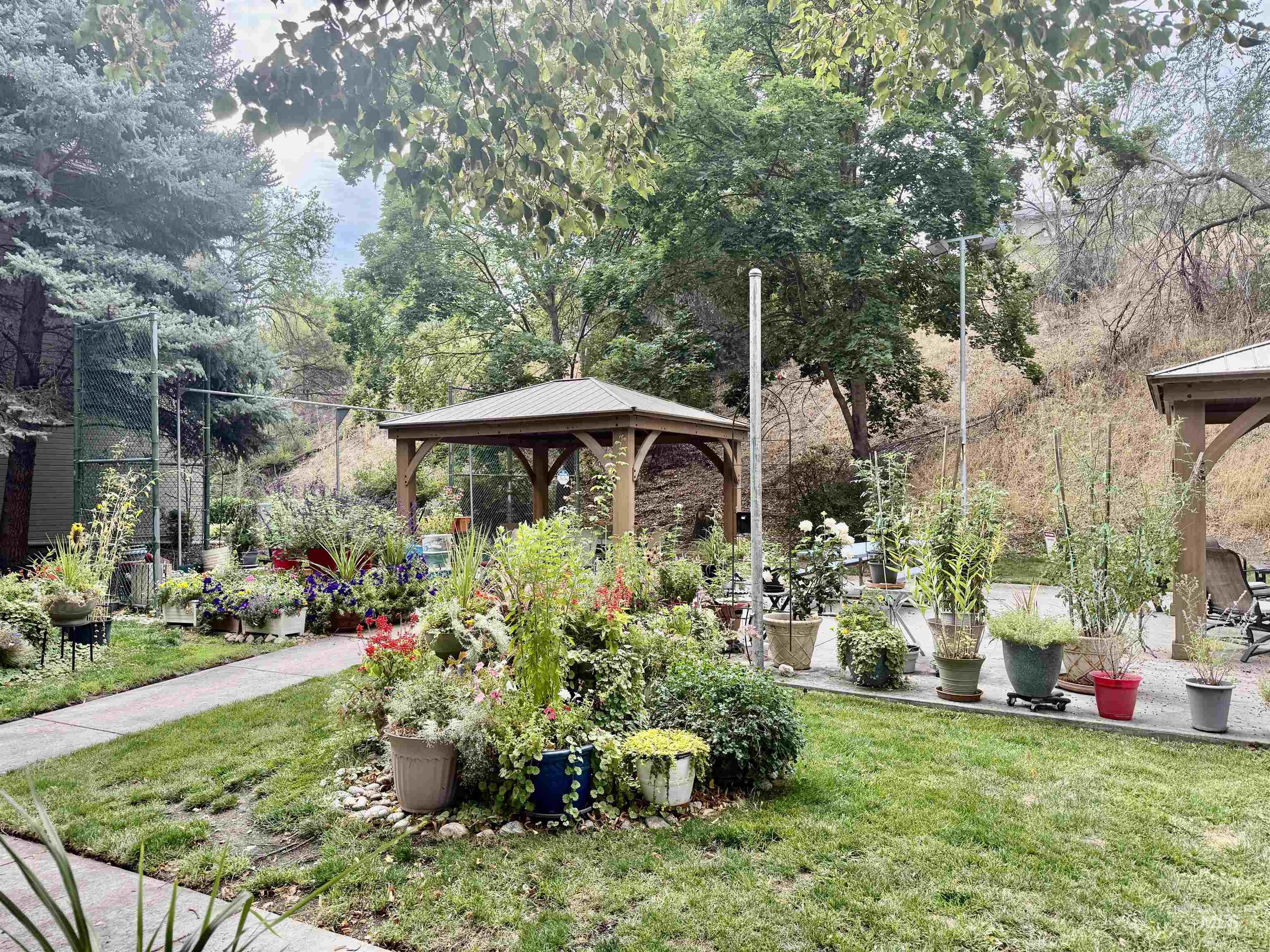 View of grassy yard featuring a gazebo, a patio, and view of scattered trees