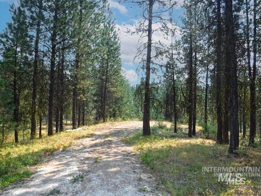 14 Silver Cloud Dr, Cascade, Idaho image 8