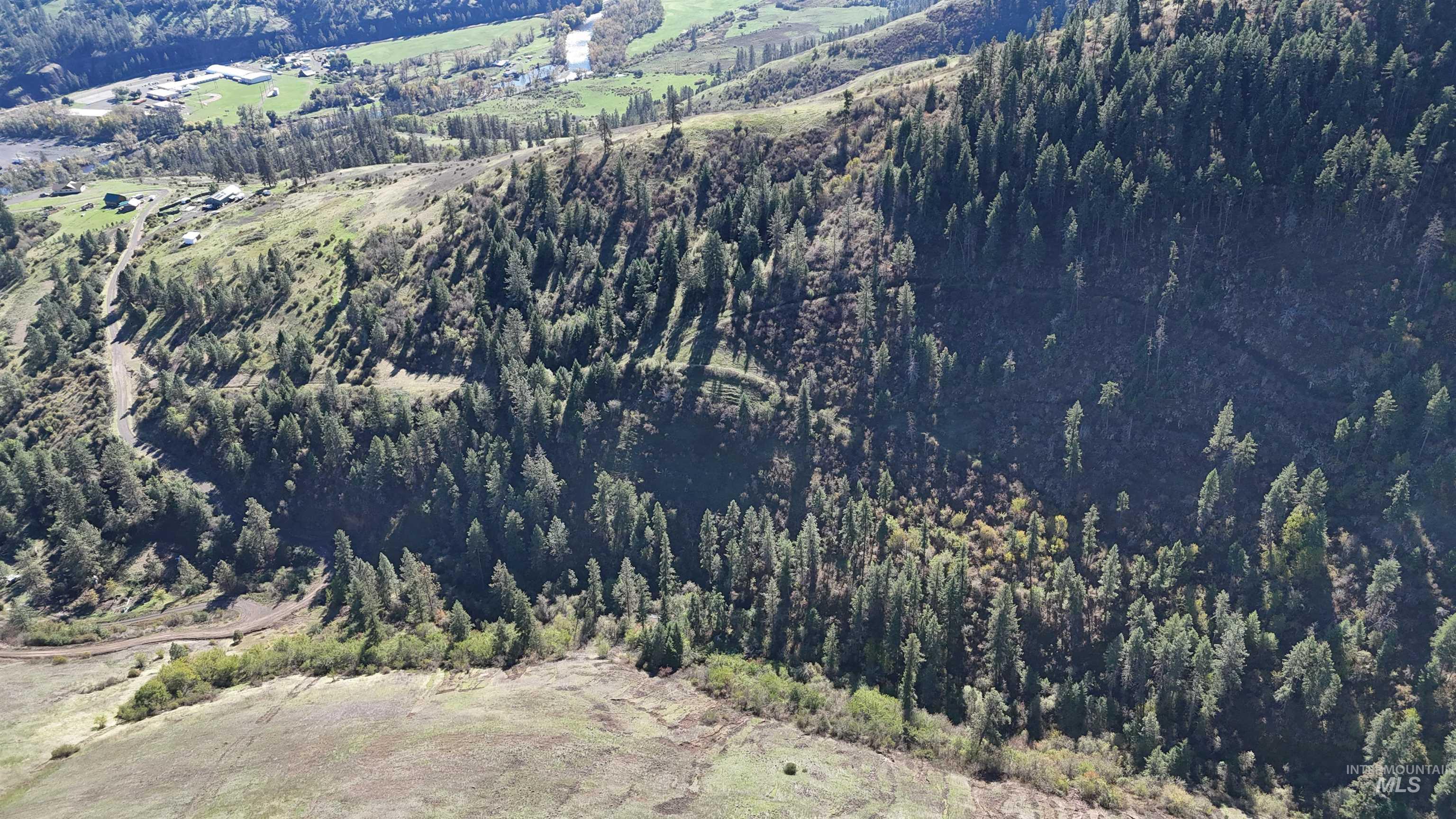 View of mountain background featuring a heavily wooded area