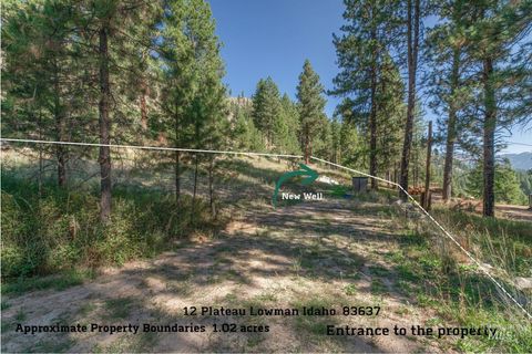 12 Plateau Lowman ID 83637