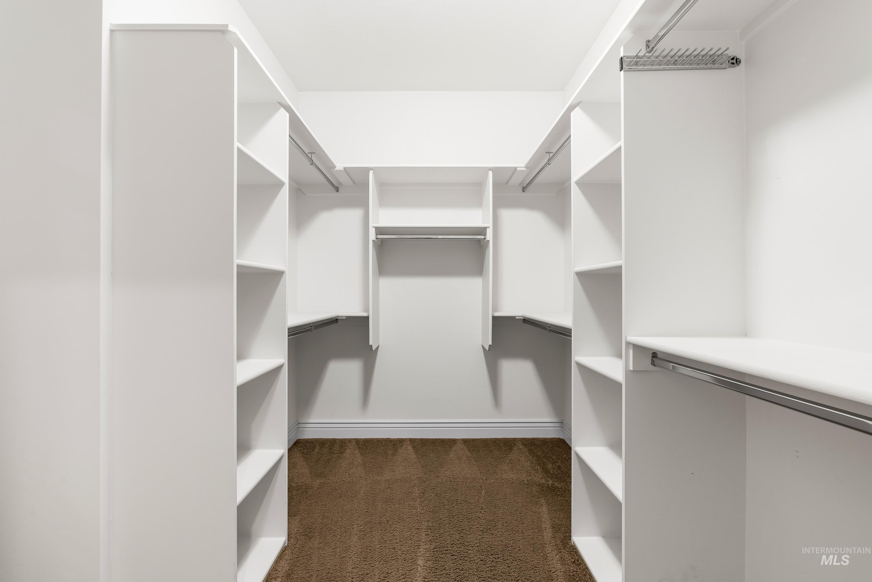 Spacious closet featuring dark carpet