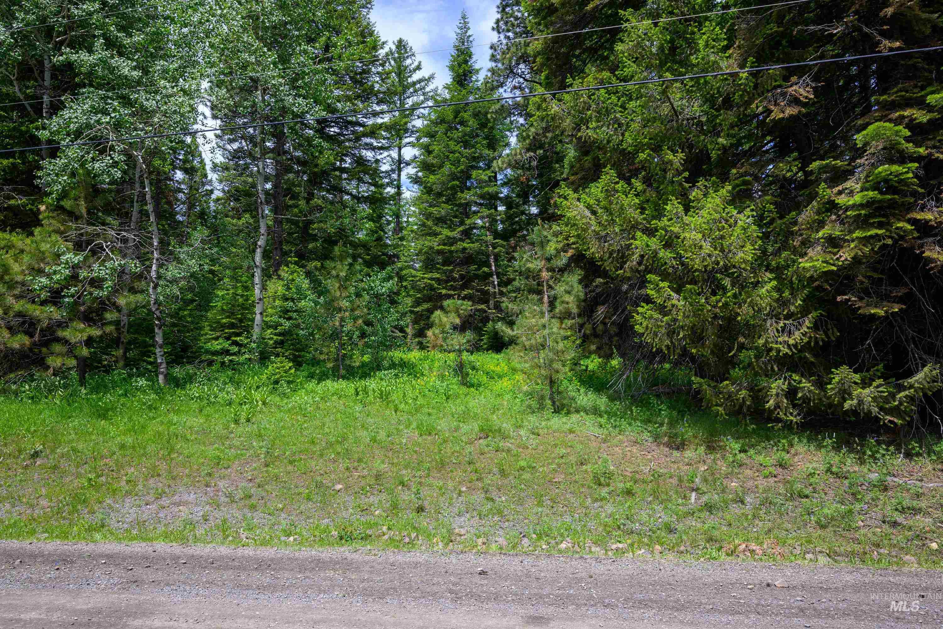 Cleared area for proposed driveway