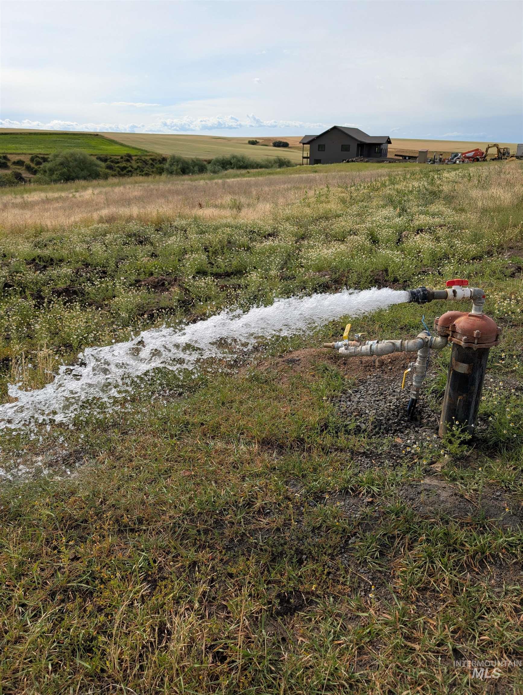 View of yard with a view of rural / pastoral area