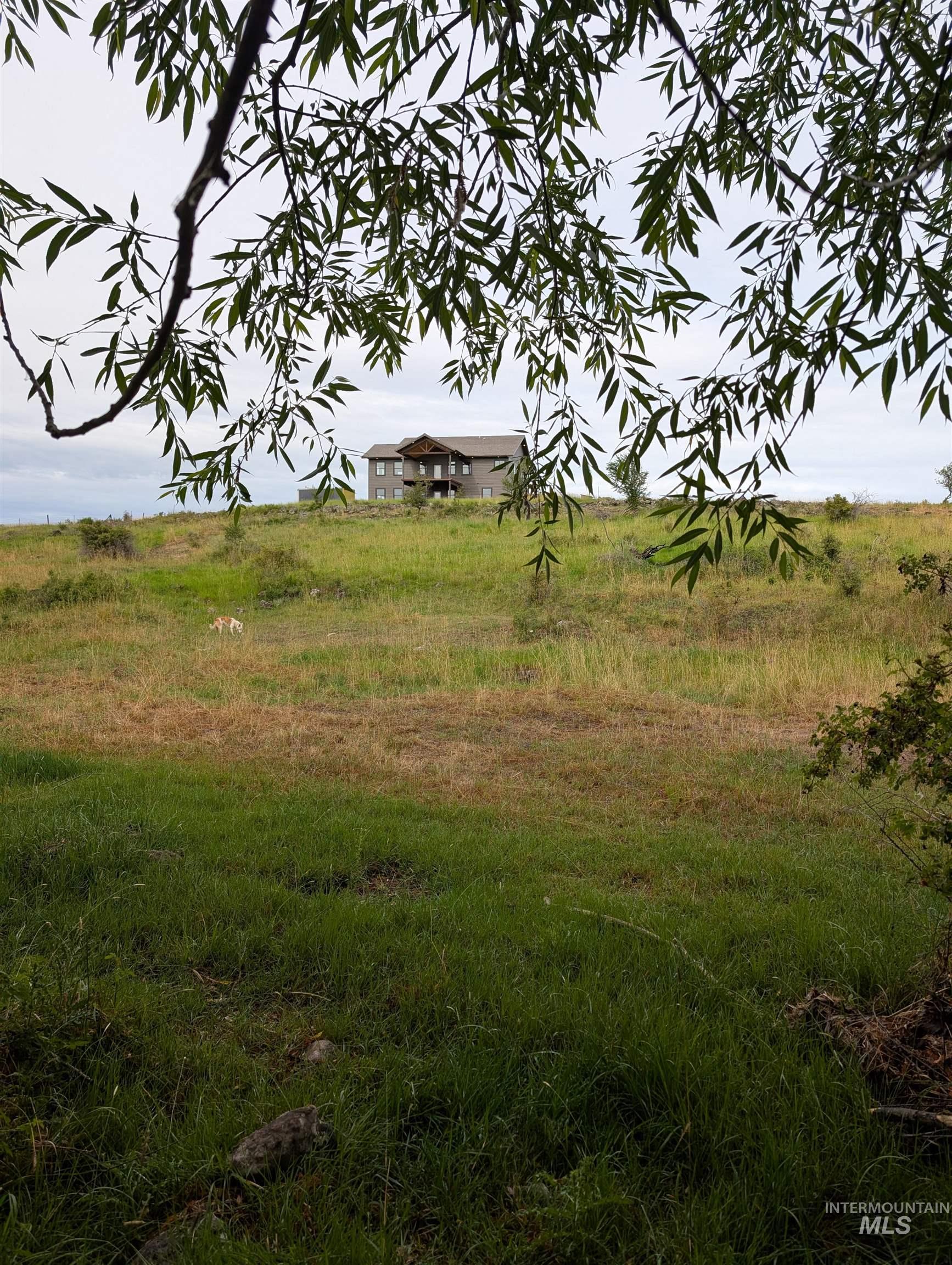 View of local wilderness featuring rural landscape