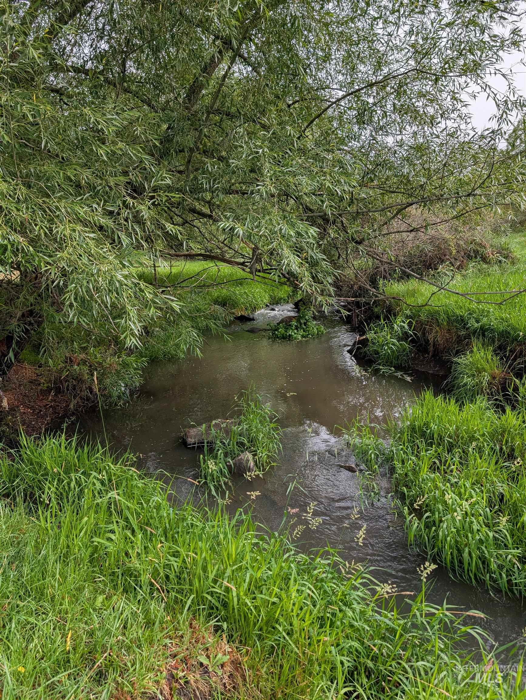 View of undeveloped land with a large body of water