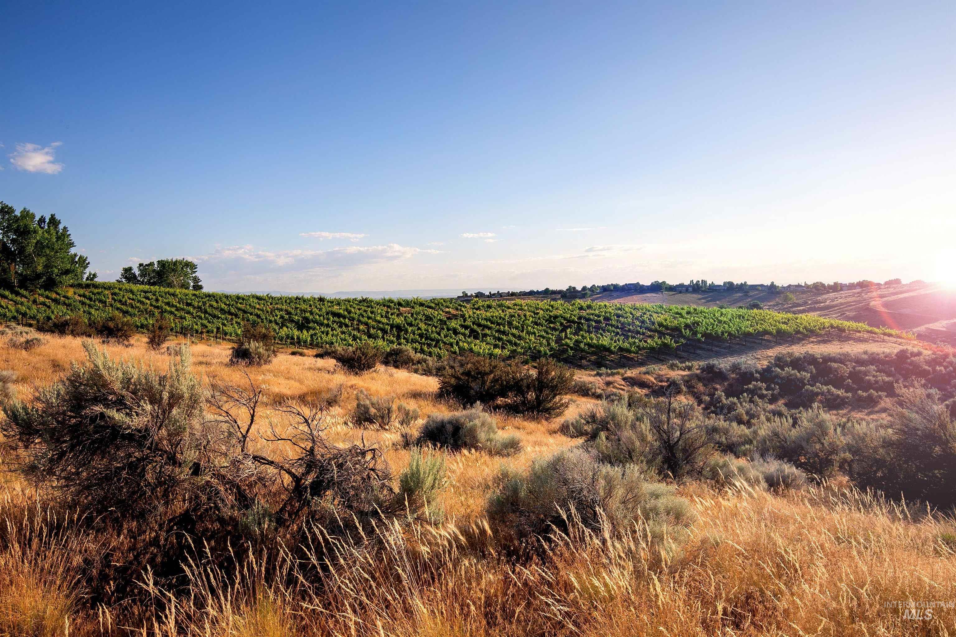 View of local wilderness with rural landscape and abundant farmland