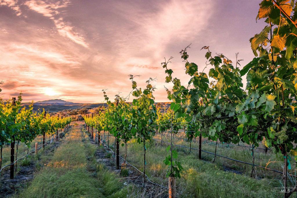 Photo of 5446 N Highway 16, Eagle, ID 83616 (MLS # 98962273)