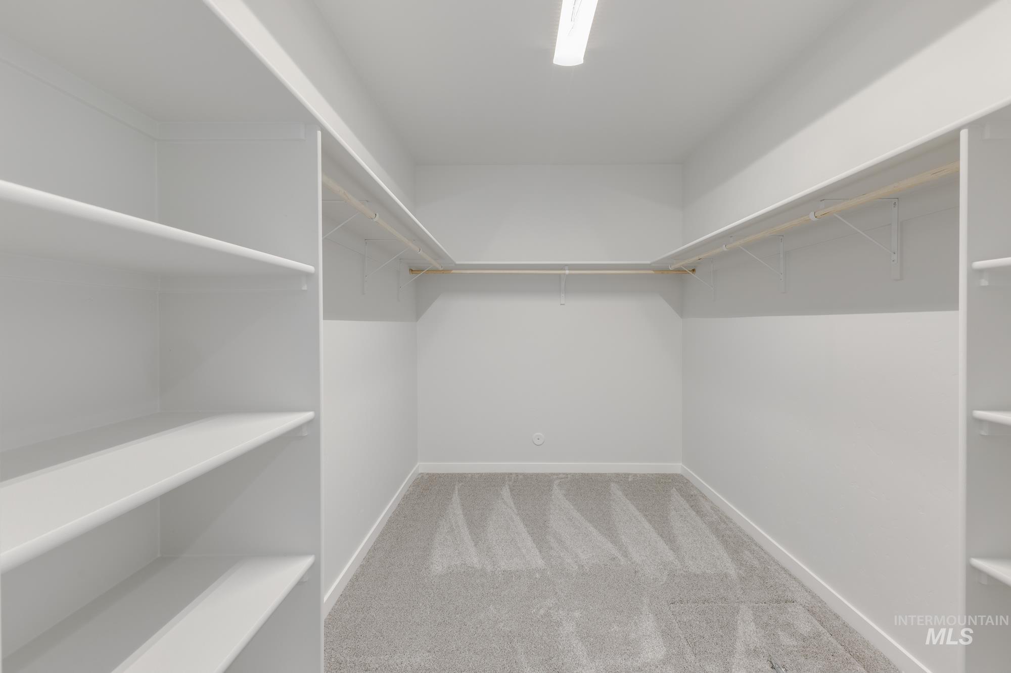 Spacious closet featuring light colored carpet