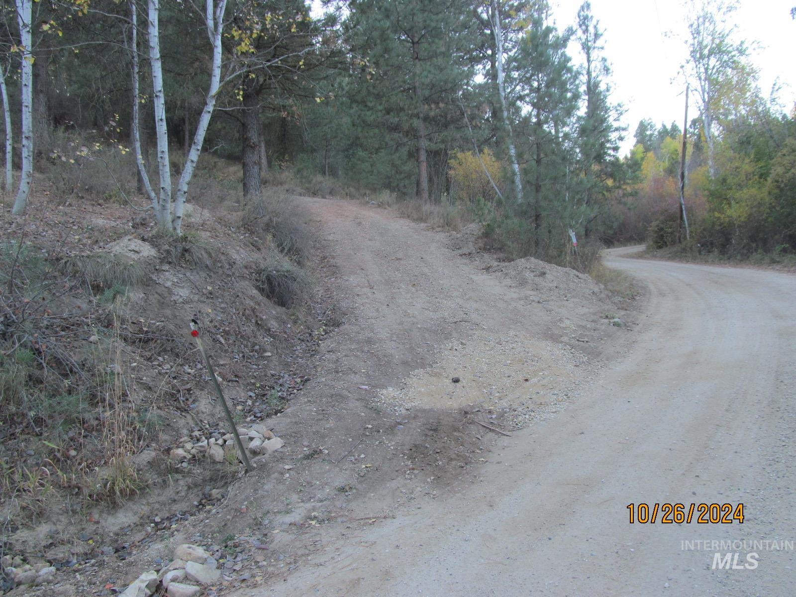 View of dirt / gravel road featuring a view of trees