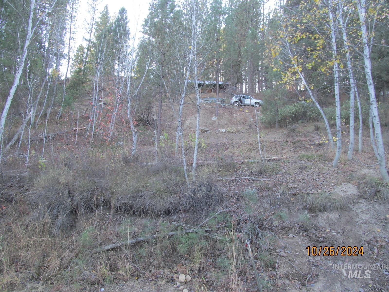View of undeveloped land
