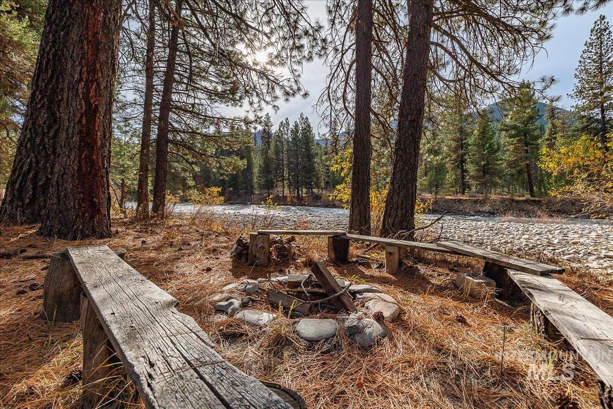View of yard with a forest view