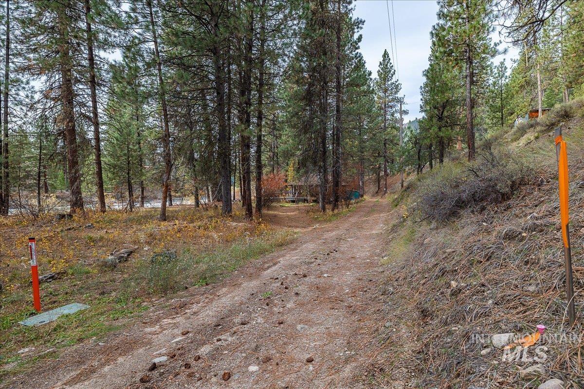 View of dirt / gravel road with a wooded view