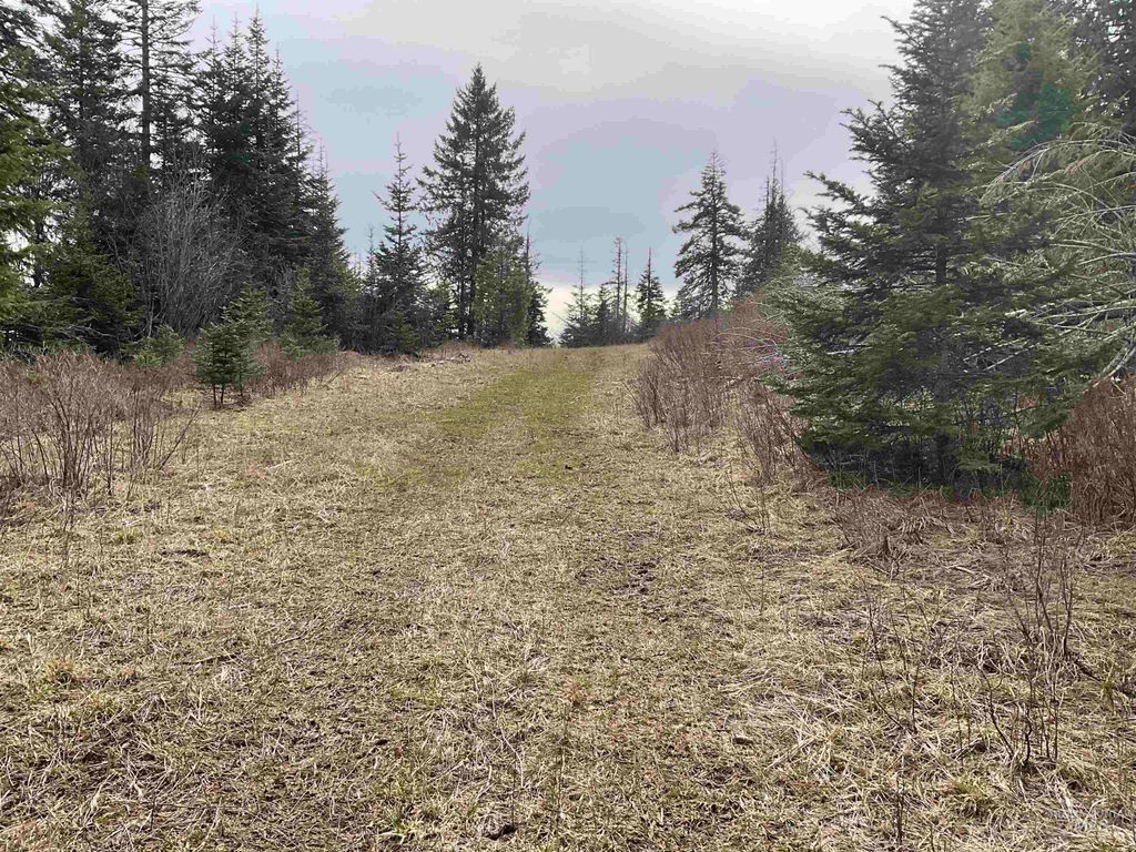 Photo of TBD Upper Fords Creek Rd, Orofino, ID 83544 (MLS # 98979111)