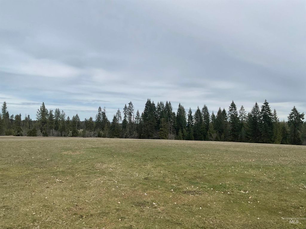 Photo of TBD Upper Fords Creek Rd, Orofino, ID 83544 (MLS # 98979111)