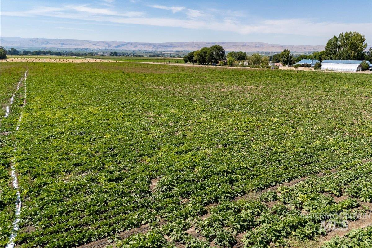 Aerial view of sparsely populated area featuring extensive farmland and a mountain backdrop