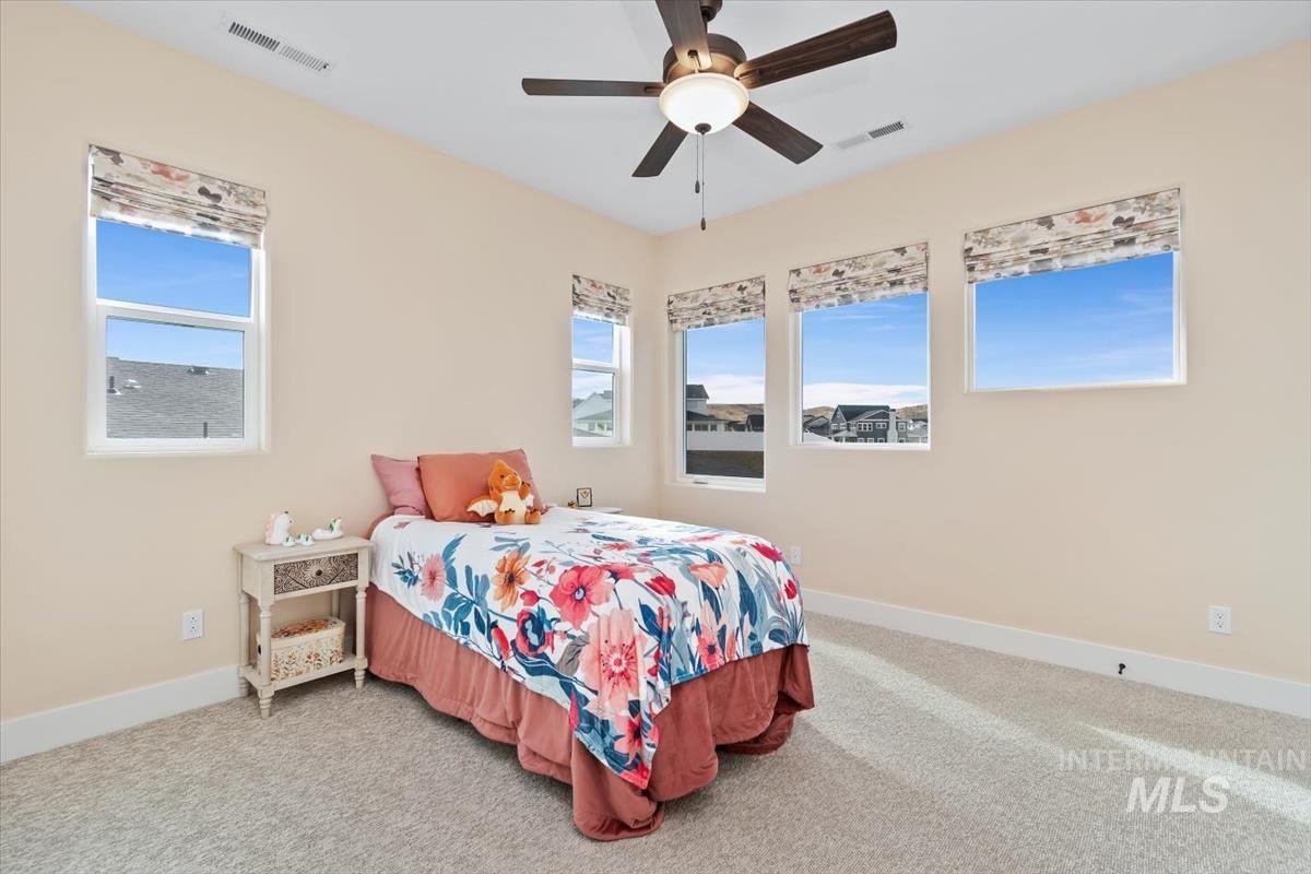 Bedroom with carpet flooring, ceiling fan, and multiple windows