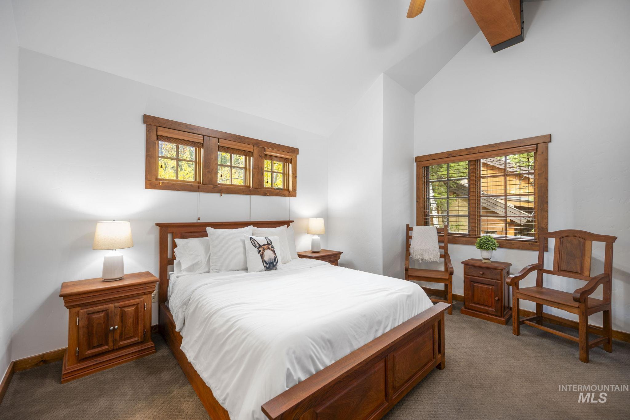 Bedroom with dark colored carpet, multiple windows, a ceiling fan, and high vaulted ceiling