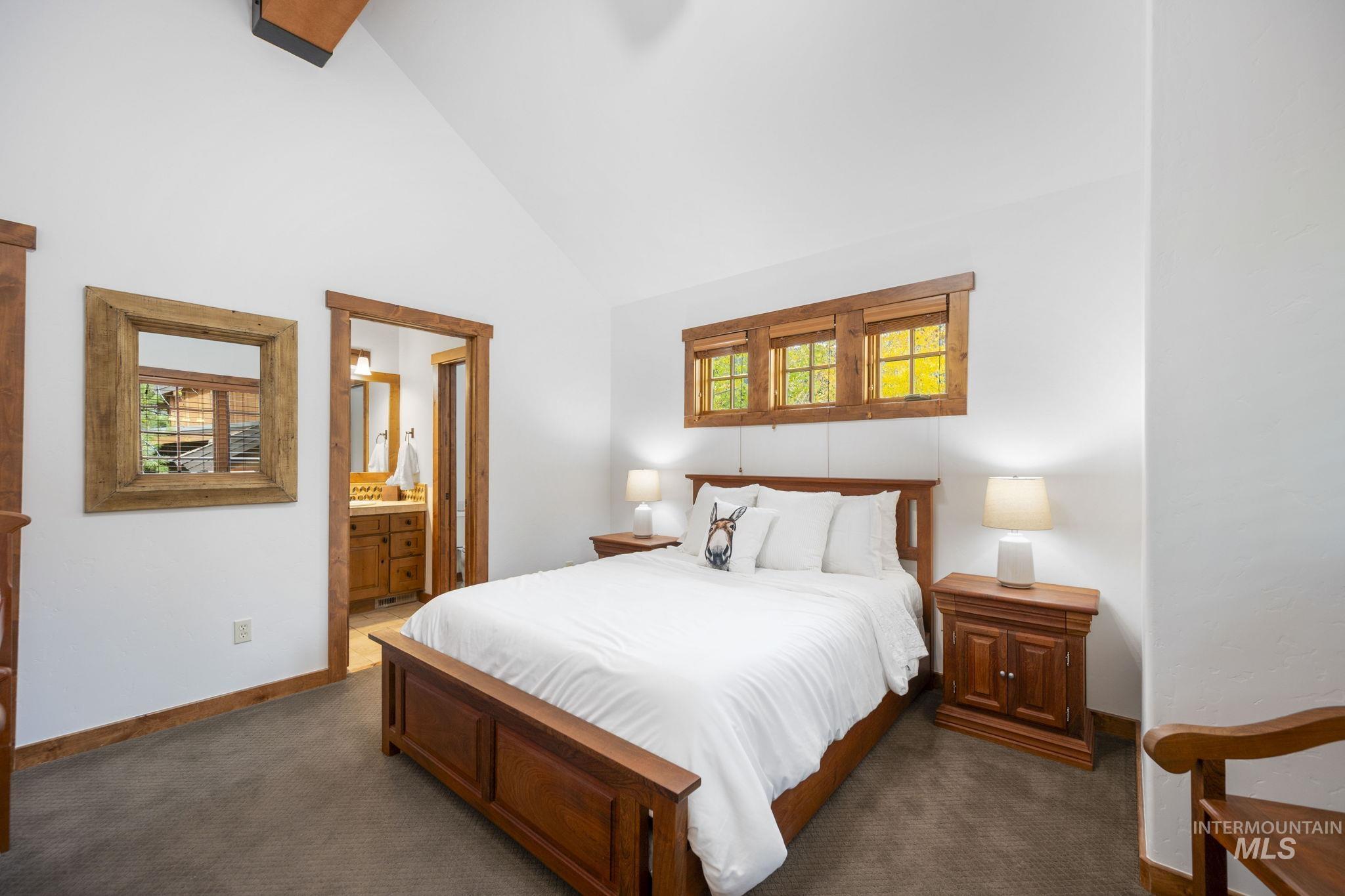 Bedroom with multiple windows, ensuite bathroom, carpet floors, and high vaulted ceiling