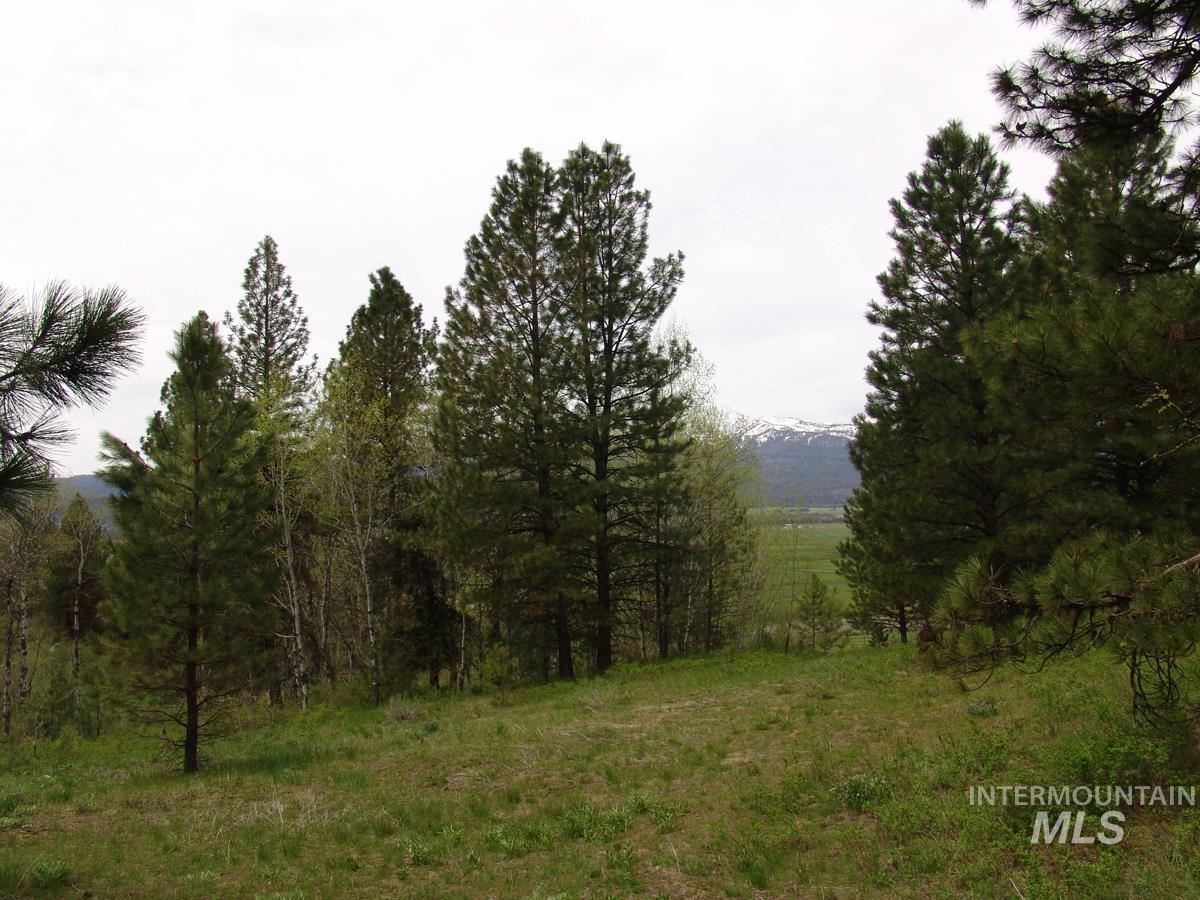 10846 Callender Road