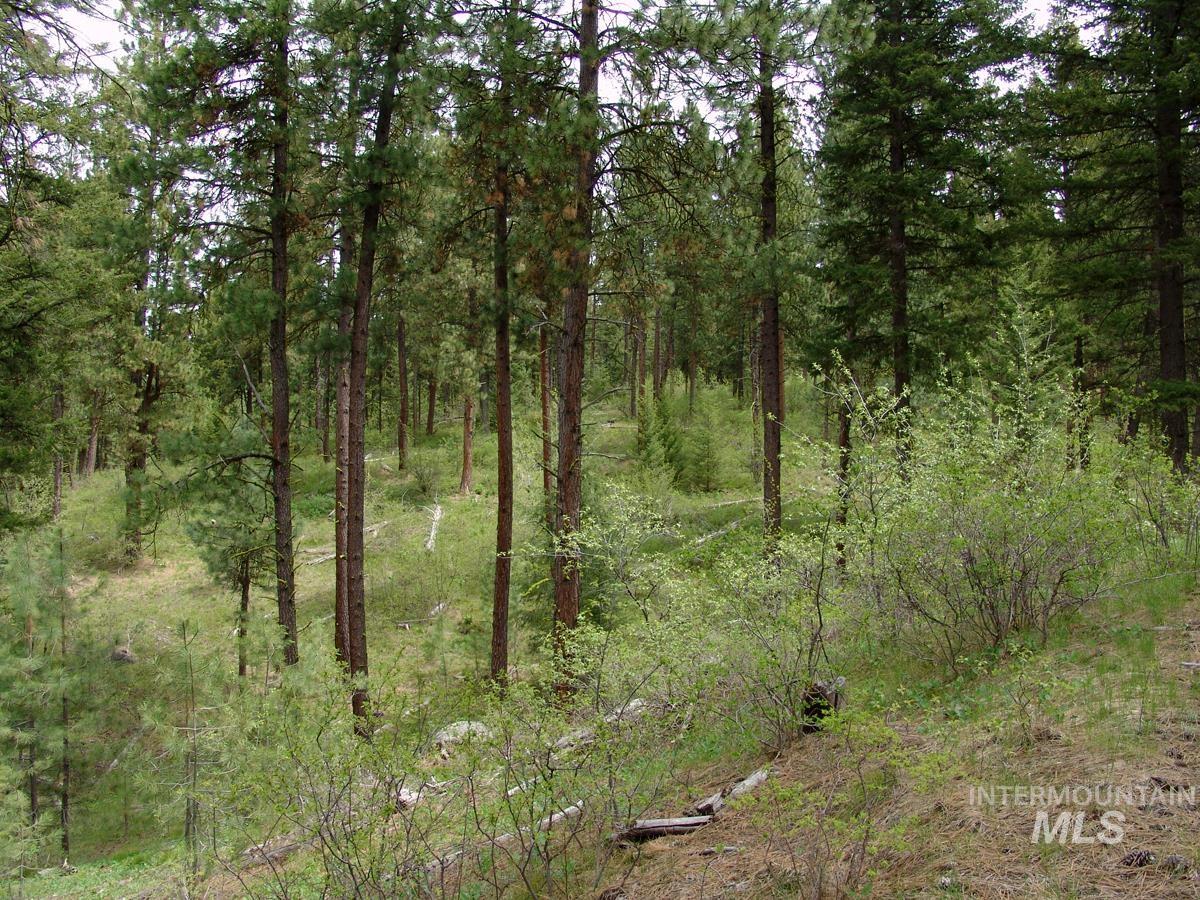 10846 Callender Road