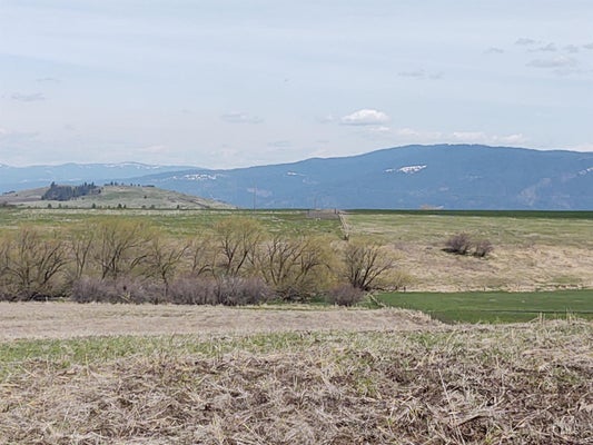 LOT 10 ANGUS RANCH ROAD, GRANGEVILLE, ID 83530 - Image c98bda0f2b37b970e73fa87f62798a66/2467665977