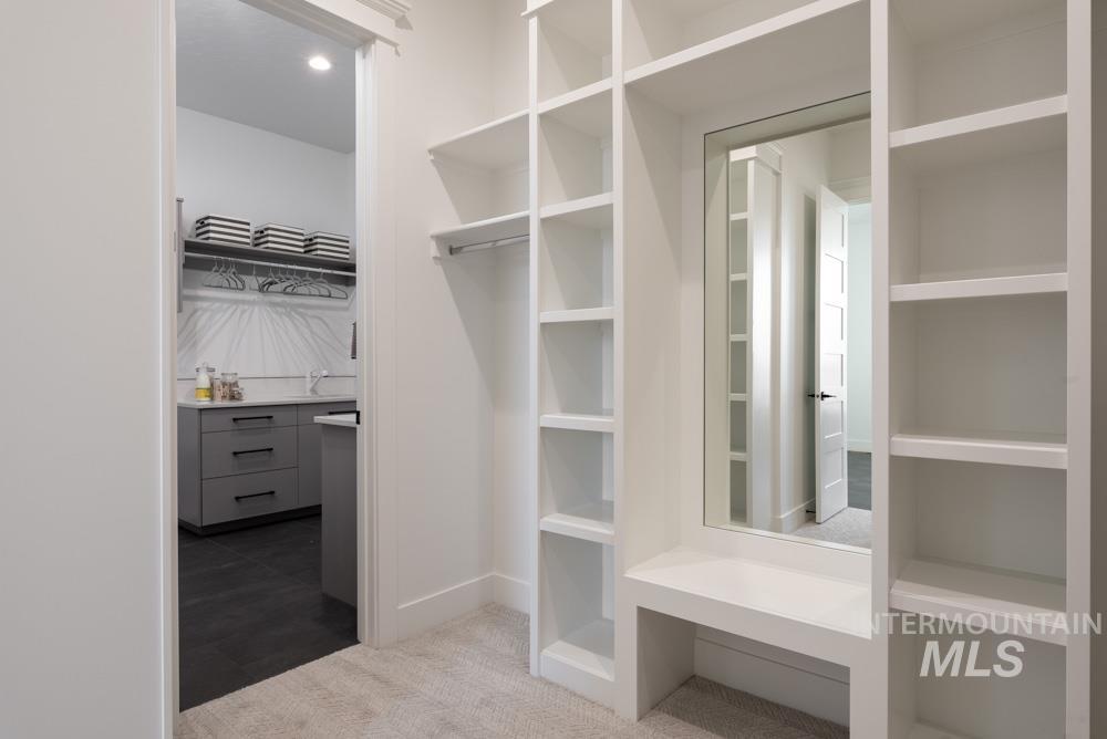 Walk in closet with light carpet