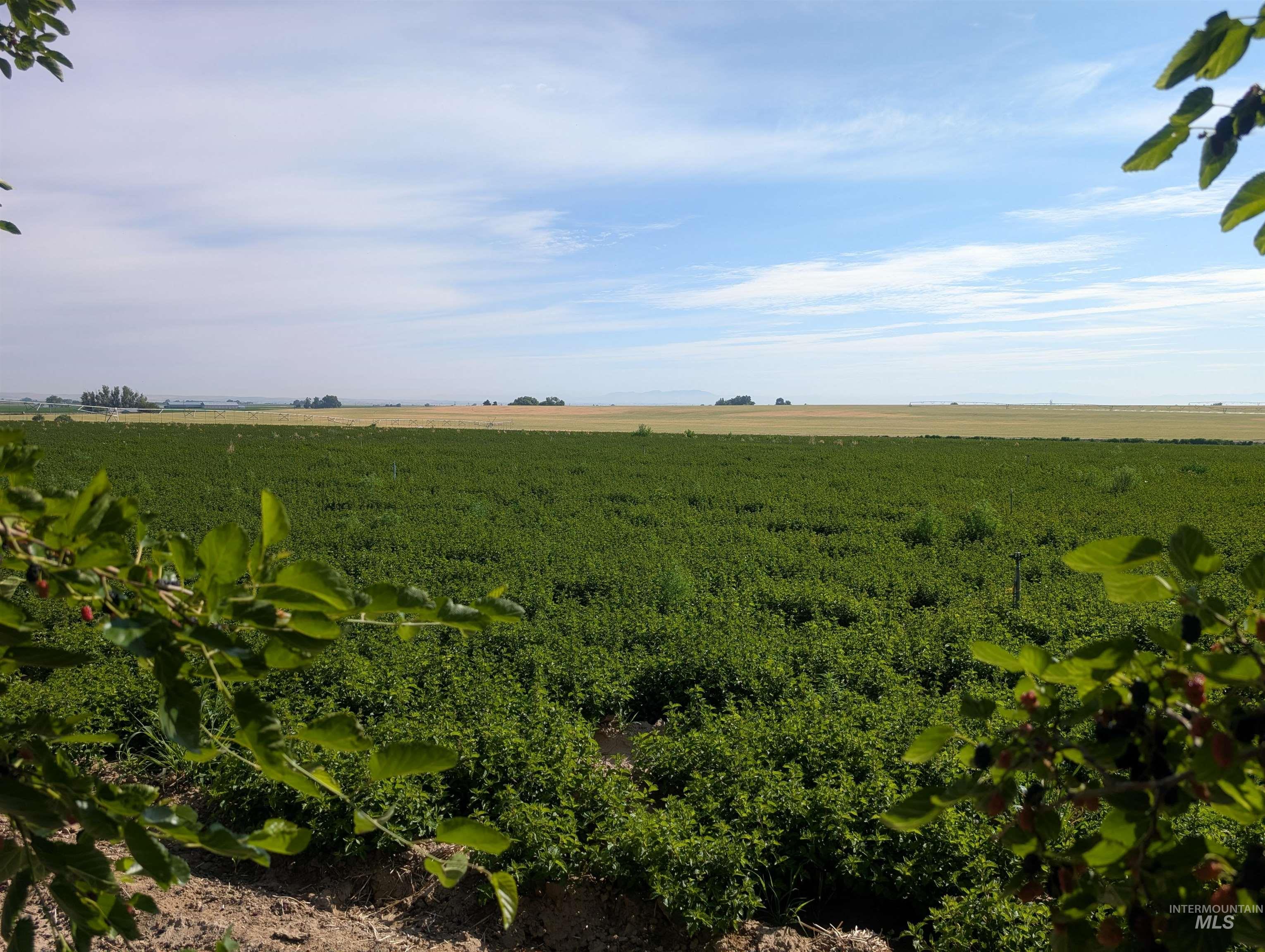 View of nature with rural landscape