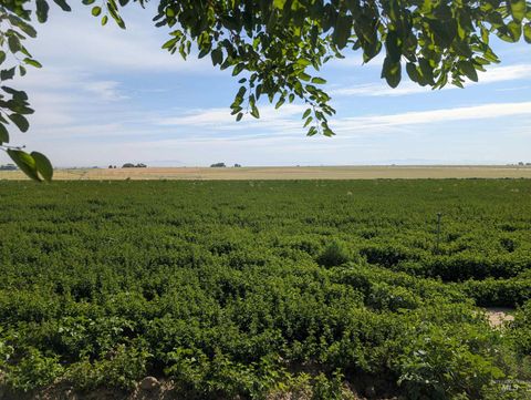 Photo of 00 Lower Pleasant Ridge Road, Wilder, ID 83676 (MLS # 98964631)