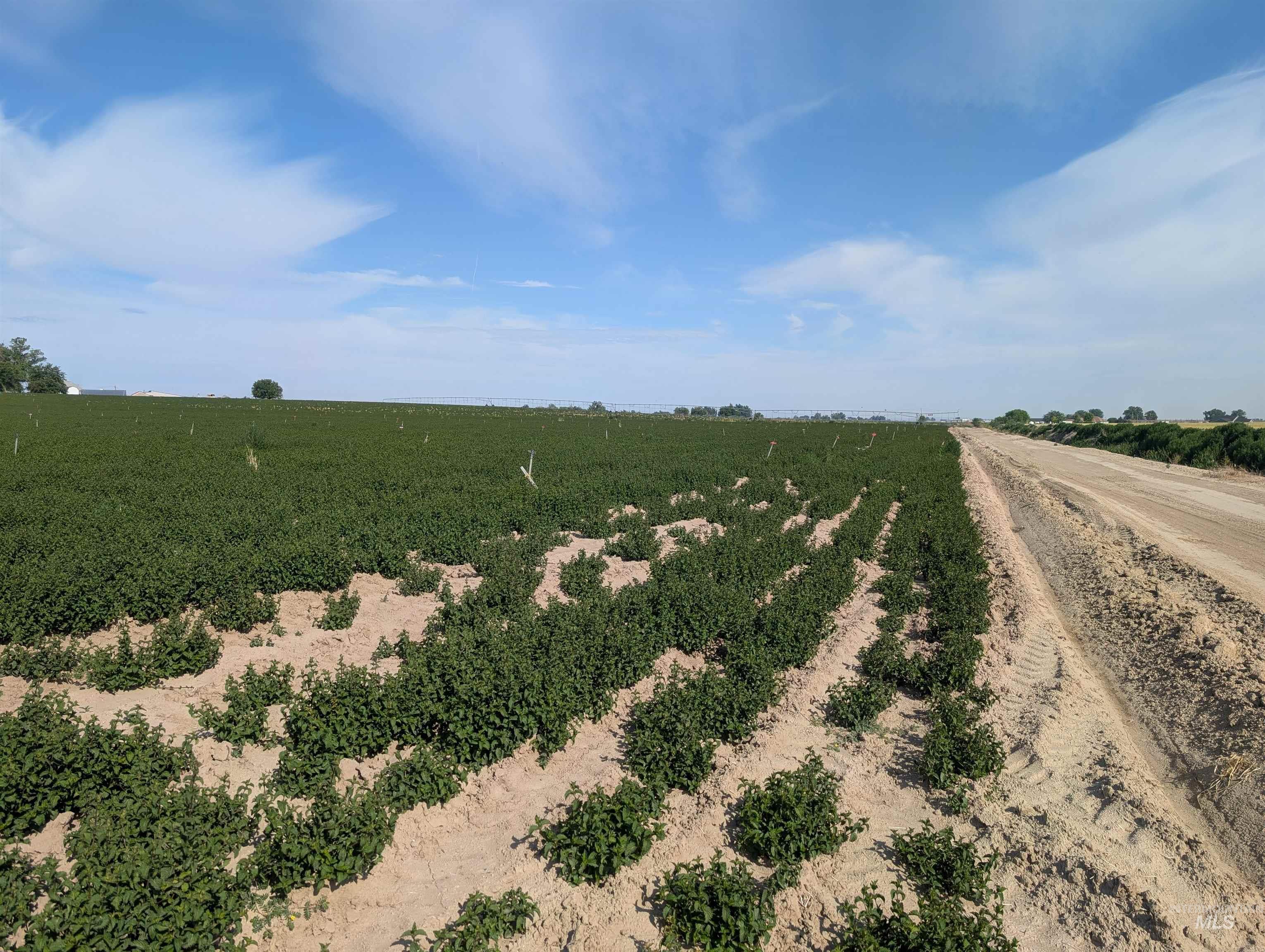View of dirt / gravel road with a view of countryside