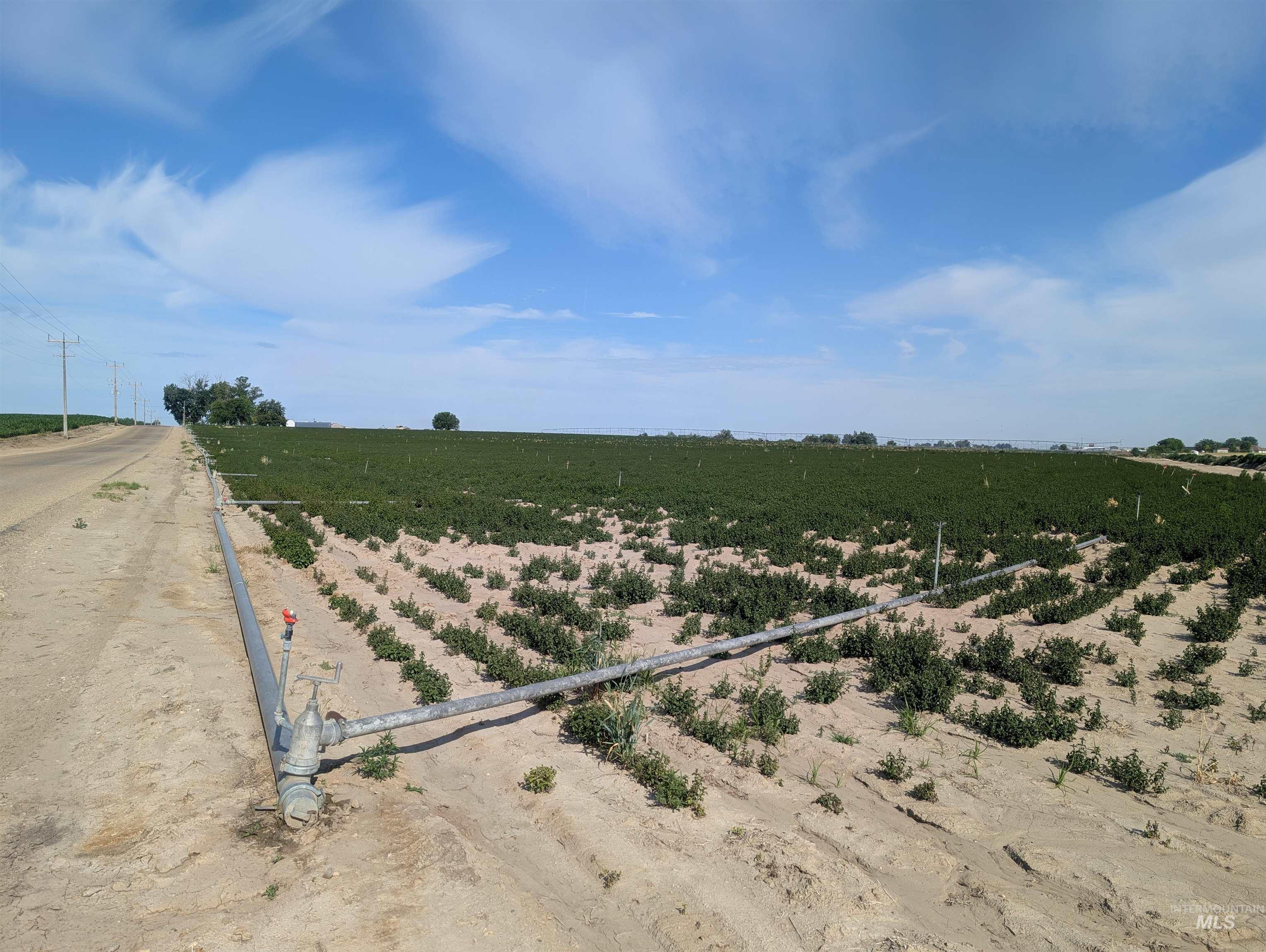 View of yard featuring a view of rural / pastoral area