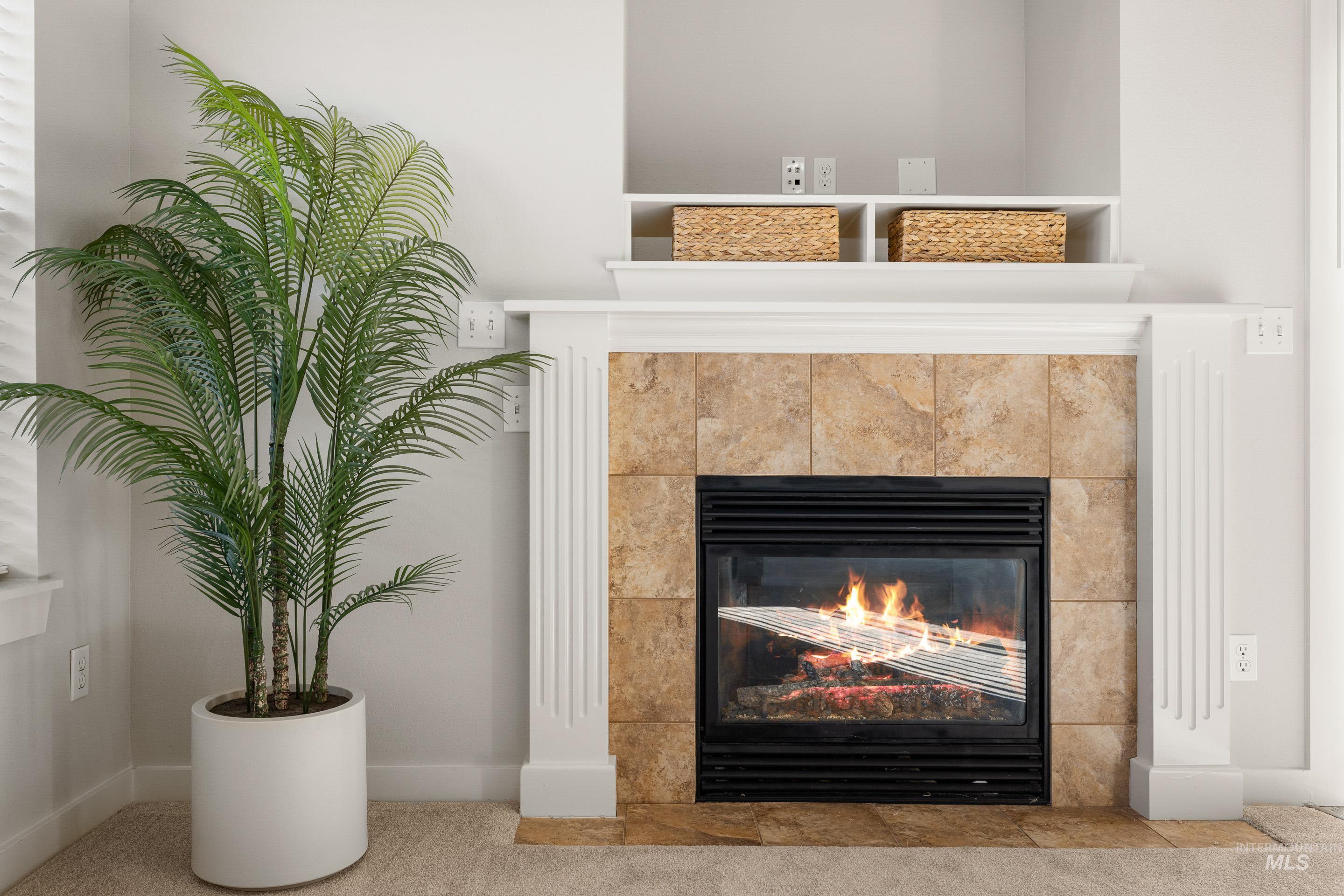 Detailed view of a fireplace and carpet