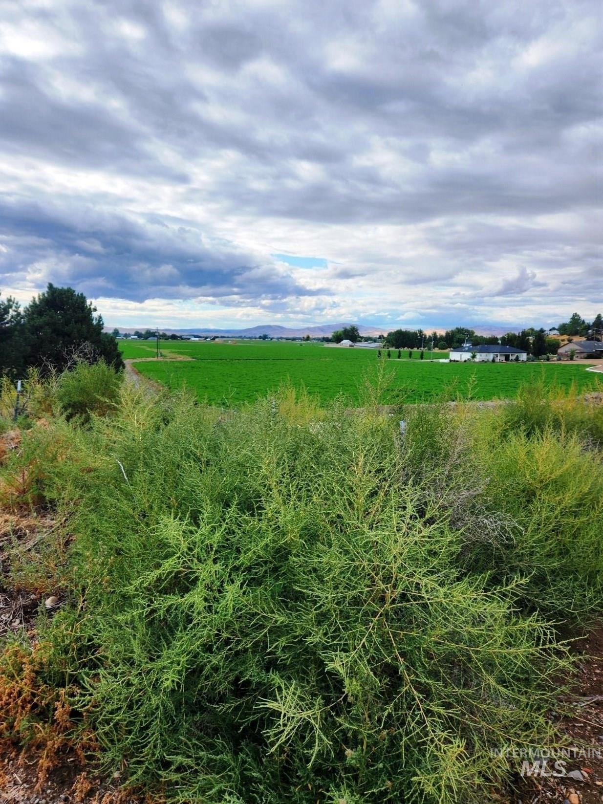 TBD Hill Road, Weiser, Idaho image 4