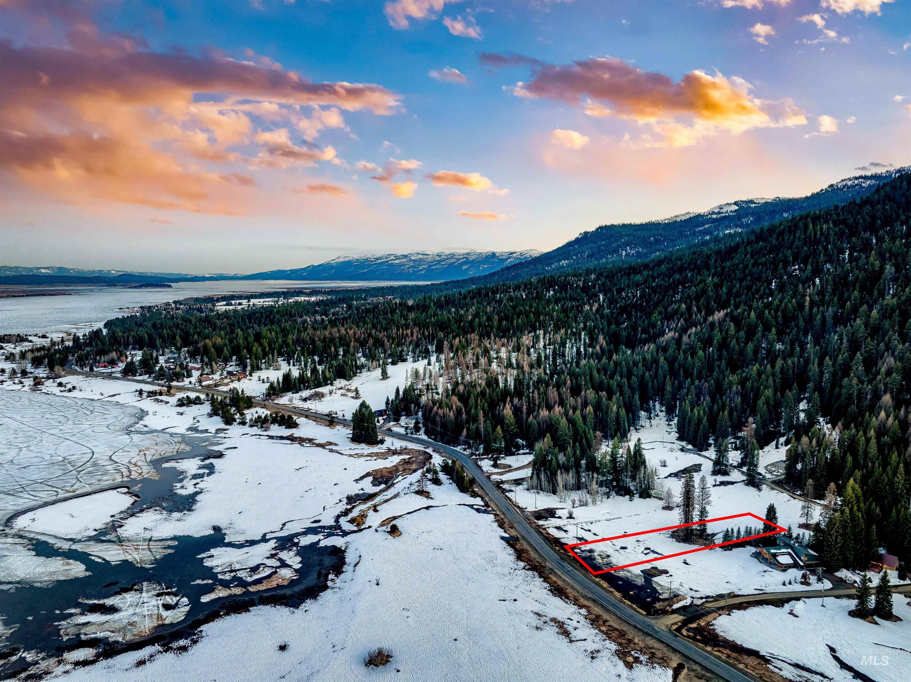 Snowy aerial view with a mountain view and a view of trees
