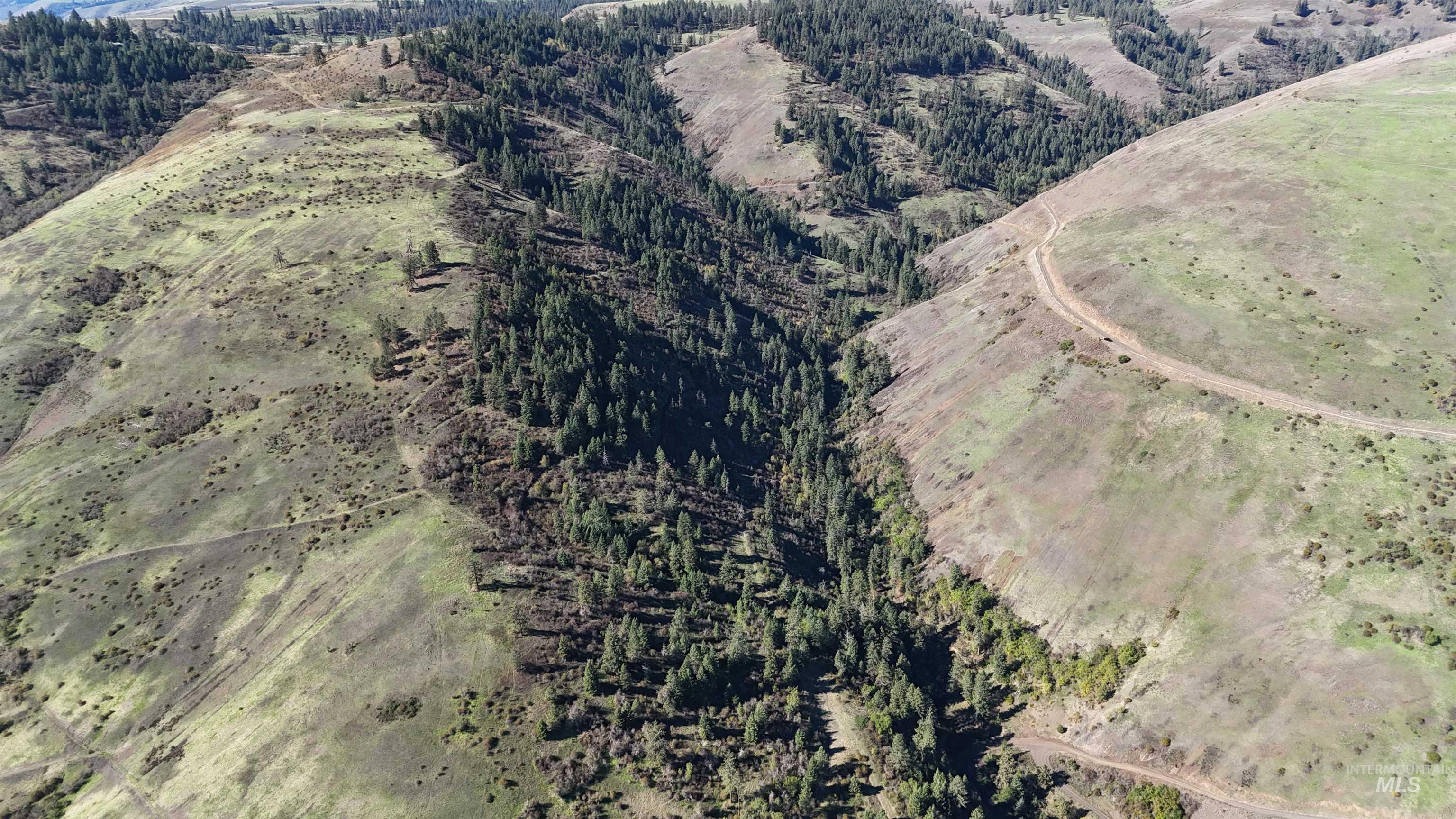 Aerial overview of property's location with a forest