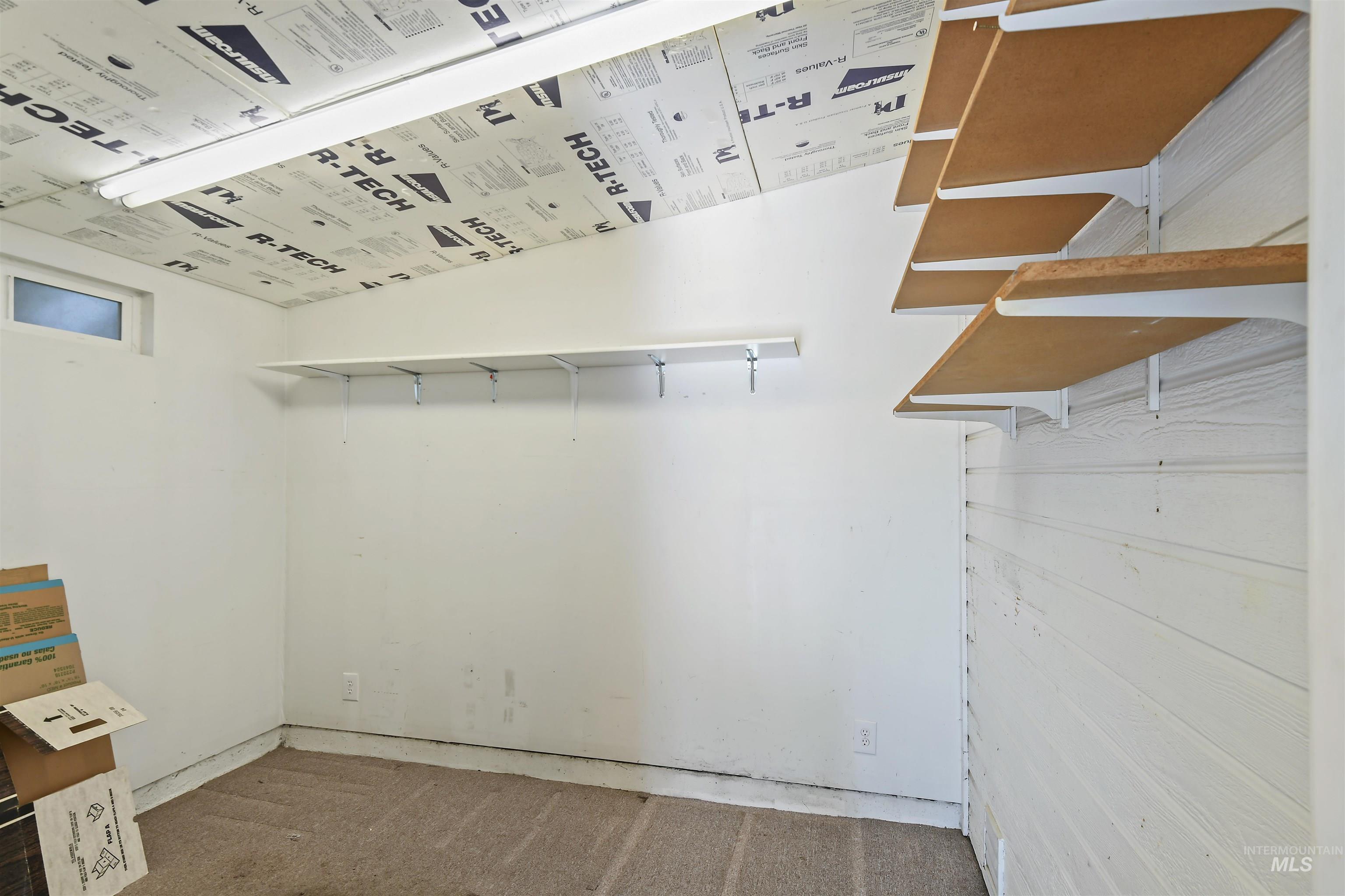 Walk in closet with carpet