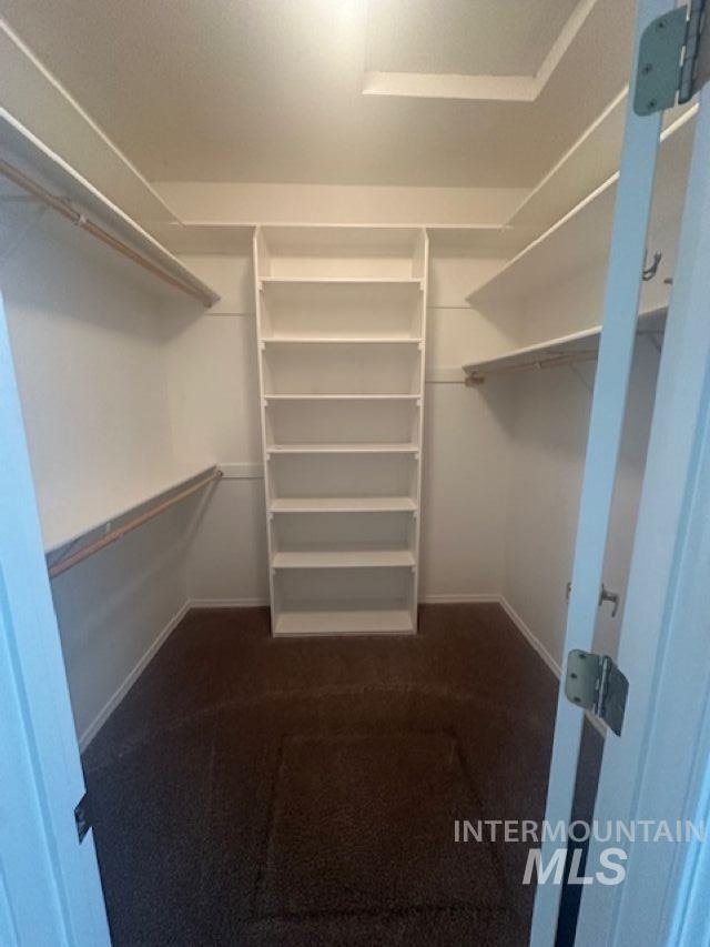 Walk in closet featuring dark colored carpet