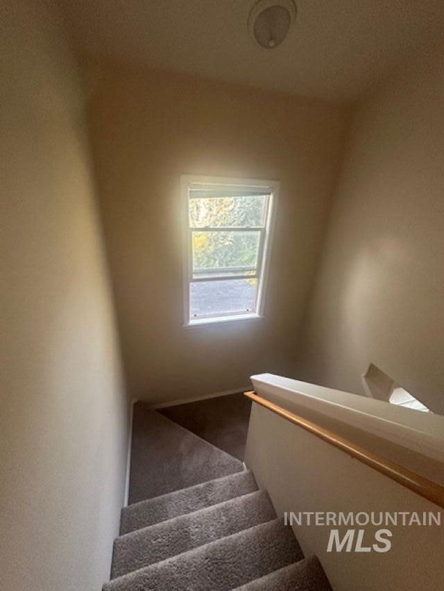 Stairs featuring carpet flooring