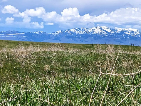Photo of TBD Heinrich Rd, Midvale, ID 83645 (MLS # 98967942)