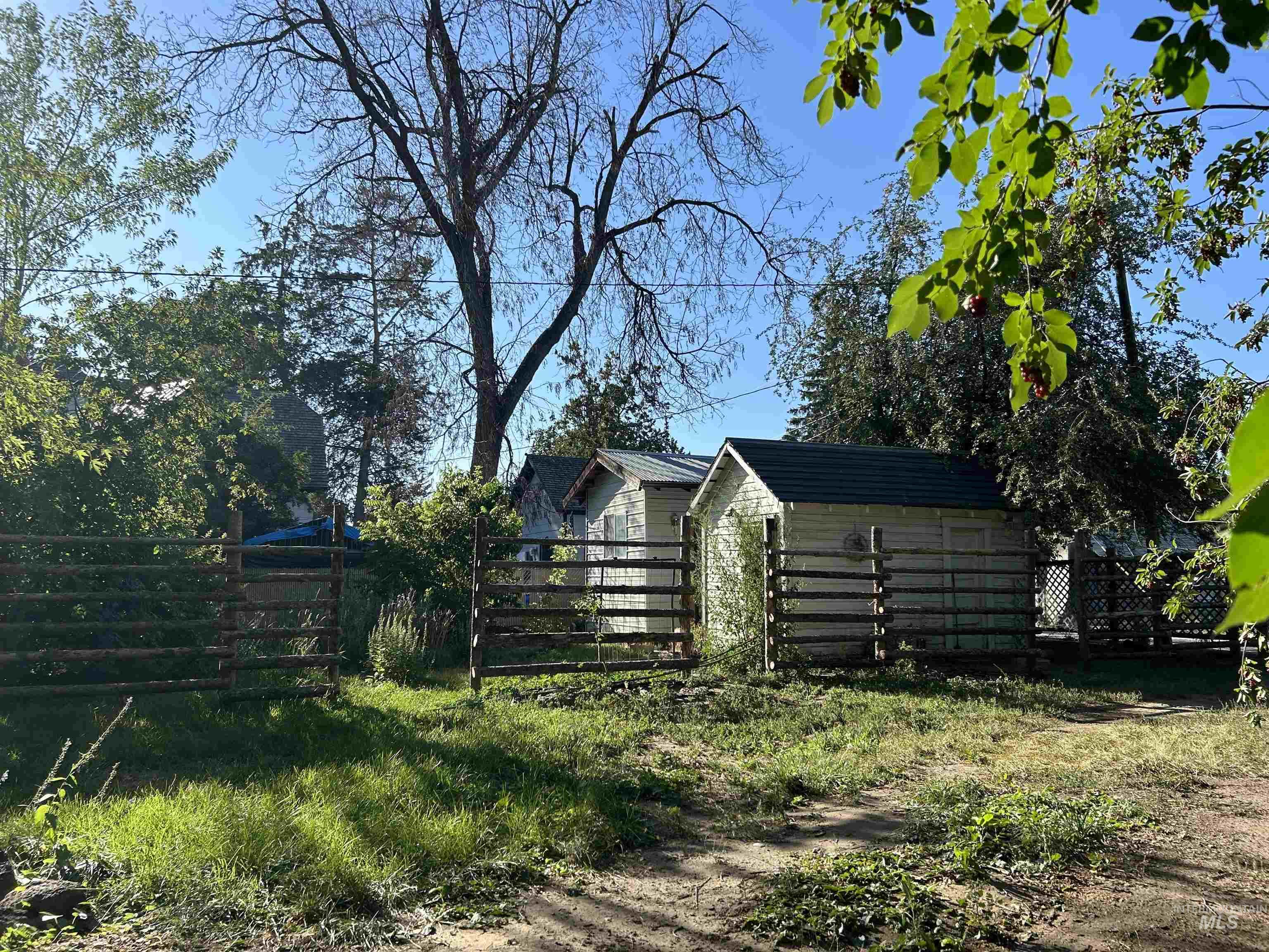View of yard featuring a storage shed
