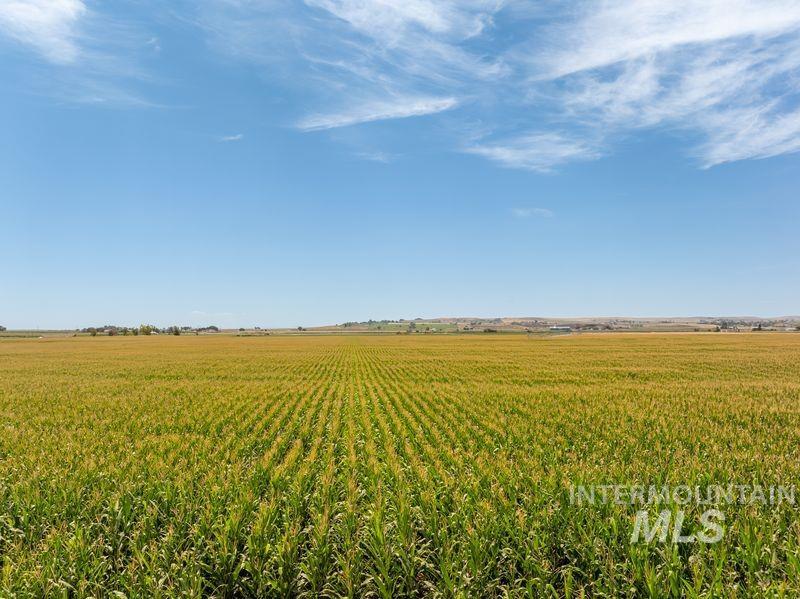 View of yard featuring agricultural plots and a view of countryside