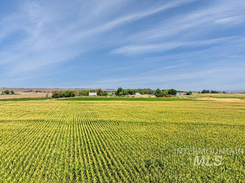 View of green lawn featuring agricultural area and a view of rural / pastoral area