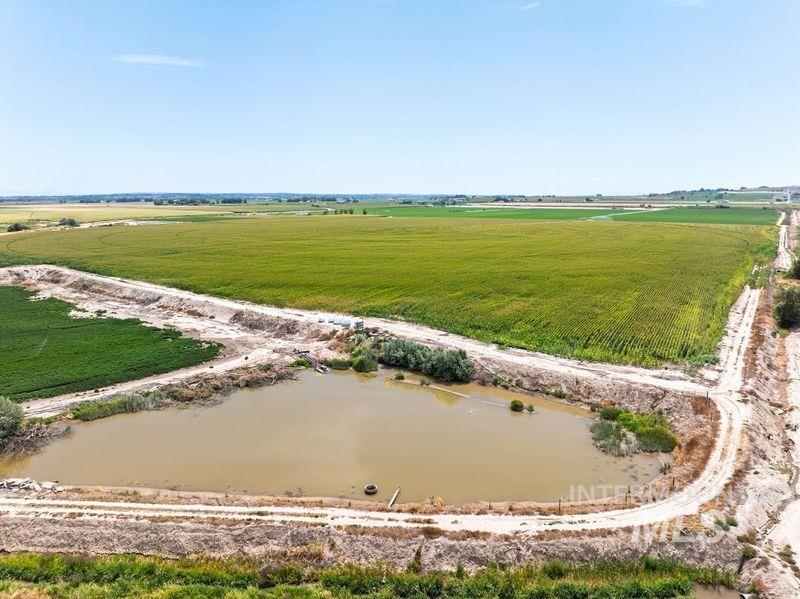Overview of rural landscape featuring rows of crops