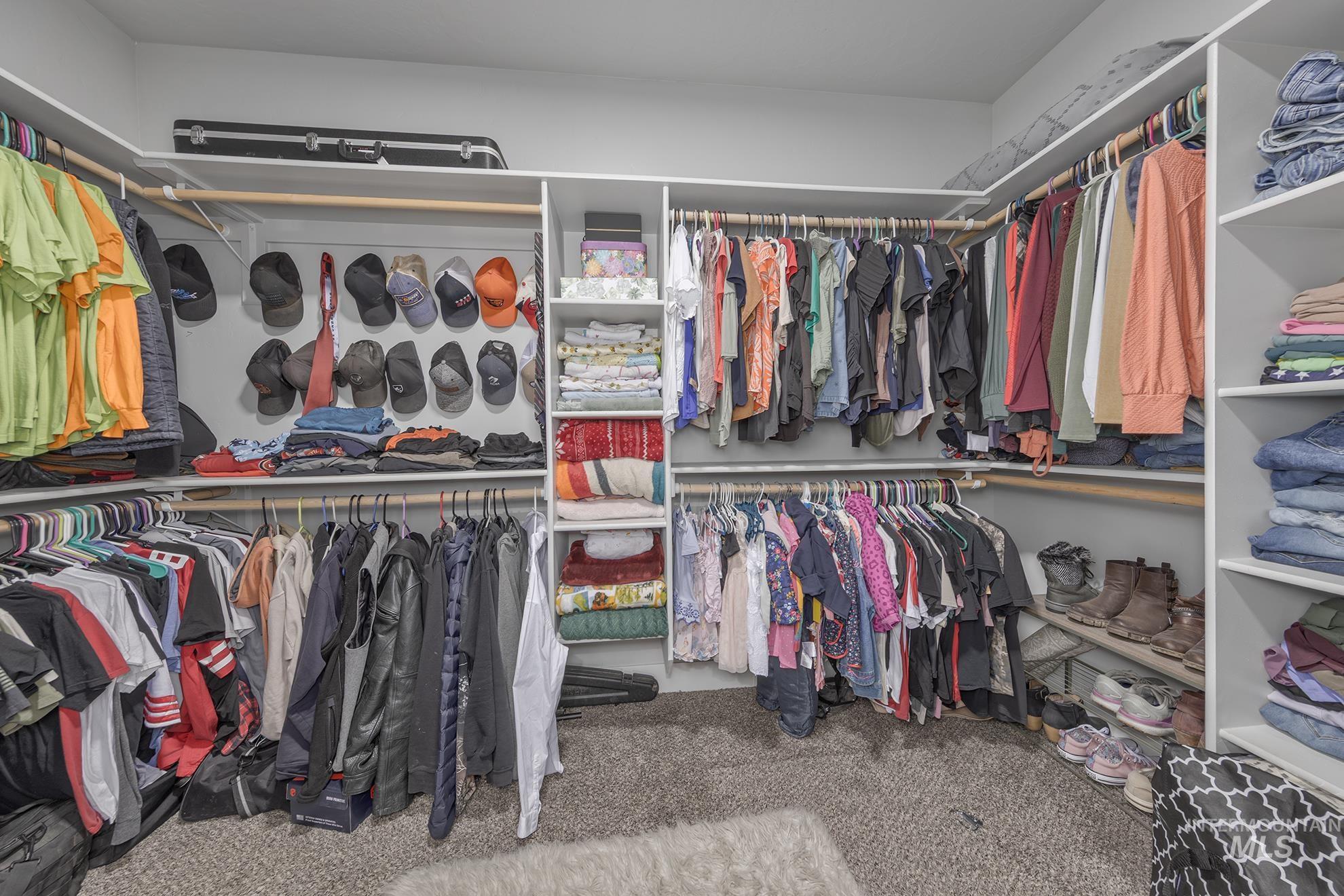Spacious closet featuring carpet