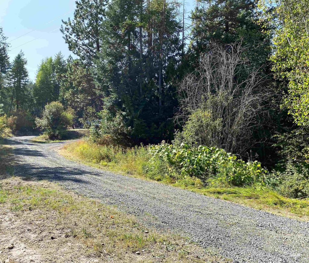 Photo of 1007 W Hatter Creek, Princeton, ID 83857 (MLS # 98962042)